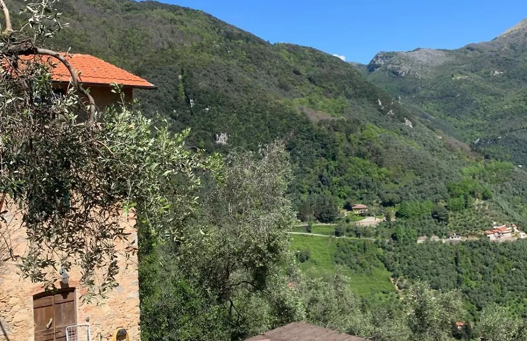 Casa Berti - Urlaub im Olivenhain-1